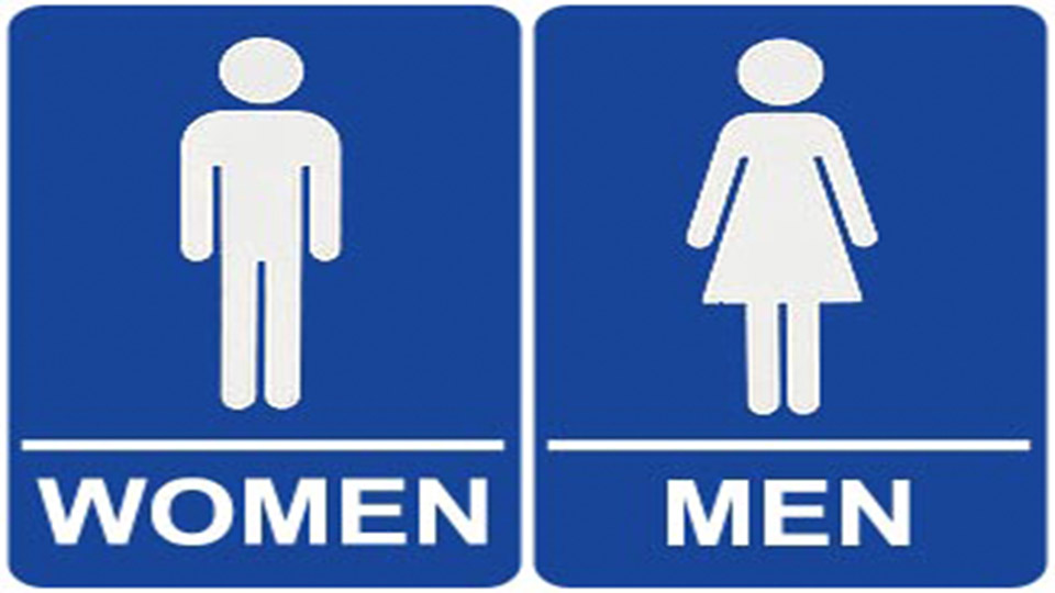 bathroom-brief-graphic