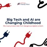 thumbnail of The App Store Accountability Act, Senate Bill 372